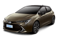 Auris