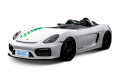 981 Bergspyder