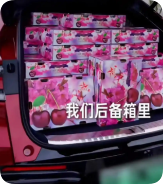 QQ_1781335573887 QQ_1781335573887
