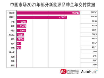 中国市场2021年部分新能源品牌全年交付数据