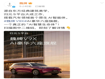 魏牌V9X官图发布