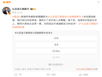 “大汉”命名遥遥领先！比亚迪D级旗舰谍照曝光: