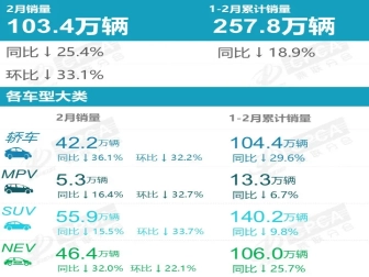2月国内新能源汽车厂商销量榜